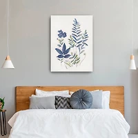 Fern Study I Canvas Giclee