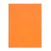 9" x 12" Foam Sheets by Creatology™