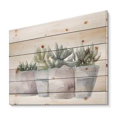Designart - Cactus and Succulent House Plants III