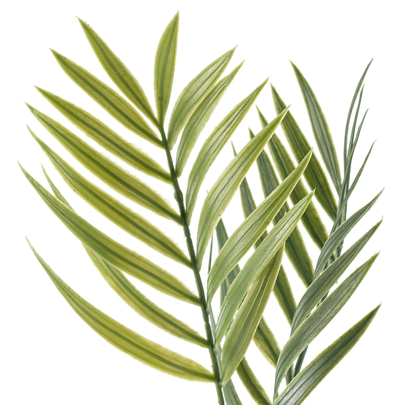 12 Pack: Green Palm Spray by Ashland®