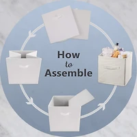 DII® 13" Nonwoven Polyester White & Gold Pineapple Storage Cube, 2ct.