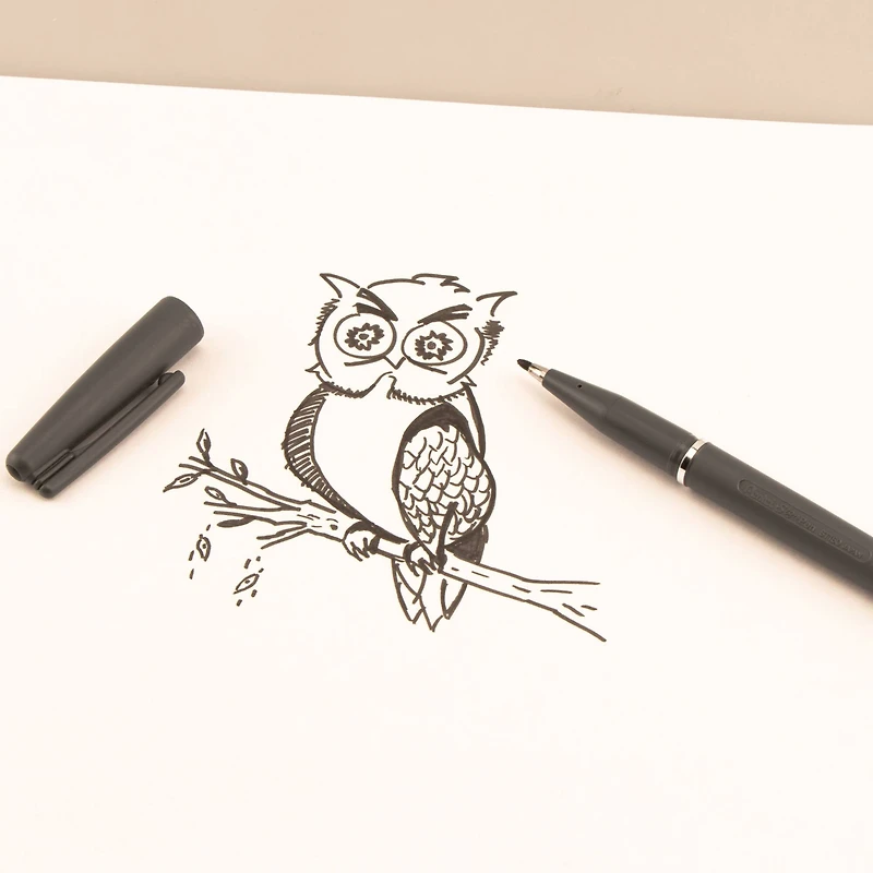 Pentel Arts® Fiber Tip Sign Pen, Black