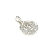 Metal Zodiac Coin Charm by Bead Landing