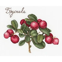 MP Studia Berries Cross Stitch Kit
