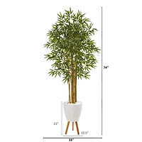 6ft. Multi Bambusa Bamboo Tree in White Planter with Stand