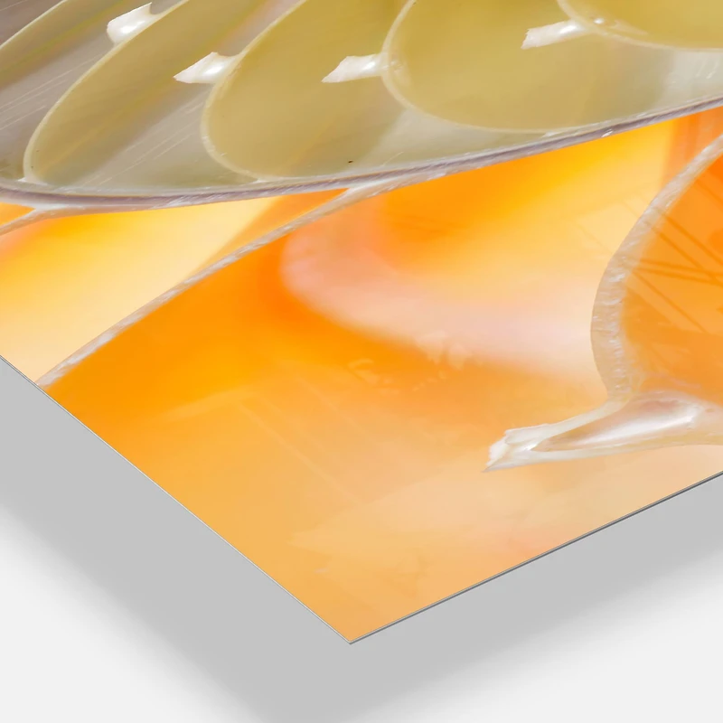 Designart 'Isolated Nautilus Shell Modern Rectangular Wall Clock