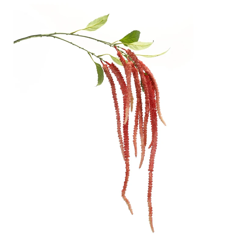 53.25" Red Amaranthus Floral Stems, 4ct.