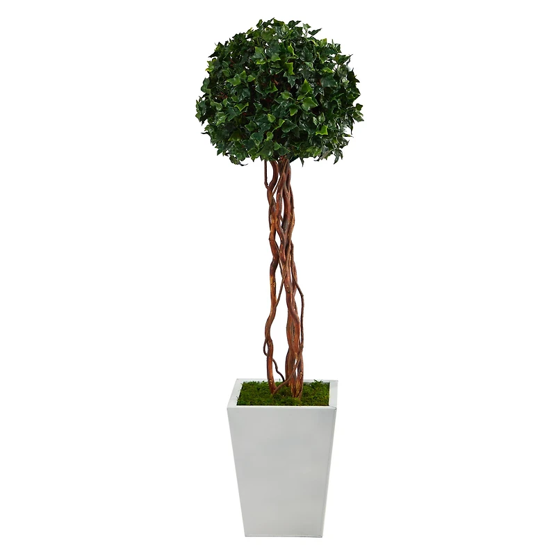 4ft. English Ivy Single Ball Topiary in White Metal Planter