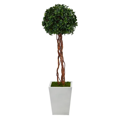 4ft. English Ivy Single Ball Topiary in White Metal Planter