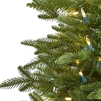 5ft. Pre-Lit Cambridge Fir Artificial Christmas Tree, Clear LED Lights