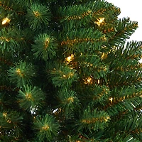 3ft. Pre-Lit Northern Rocky Spruce Artificial Christmas Tree, Clear LED Lights
