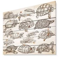 Designart - Turtles in Freehand sketching