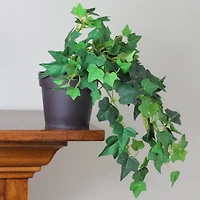 8" Potted Green Mini Spring Ivy Bush