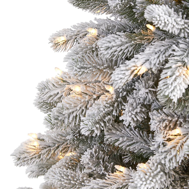 6ft. Pre-Lit South Carolina Spruce Artificial Christmas Tree, Clear LED Lights