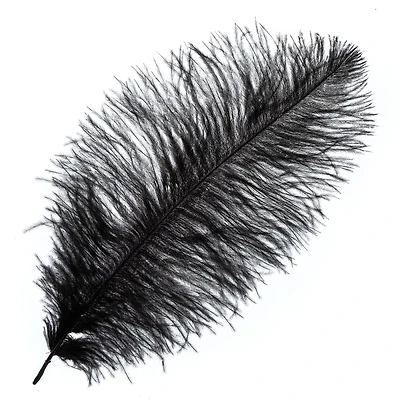 John Bead 11"-13" Ostrich Drab Feather