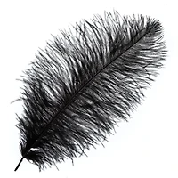 John Bead 11"-13" Ostrich Drab Feather