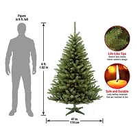 6ft. Unlit Kincaid Spruce Artificial Christmas Tree