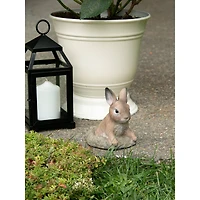 6" Curious Bunny Garden Décor