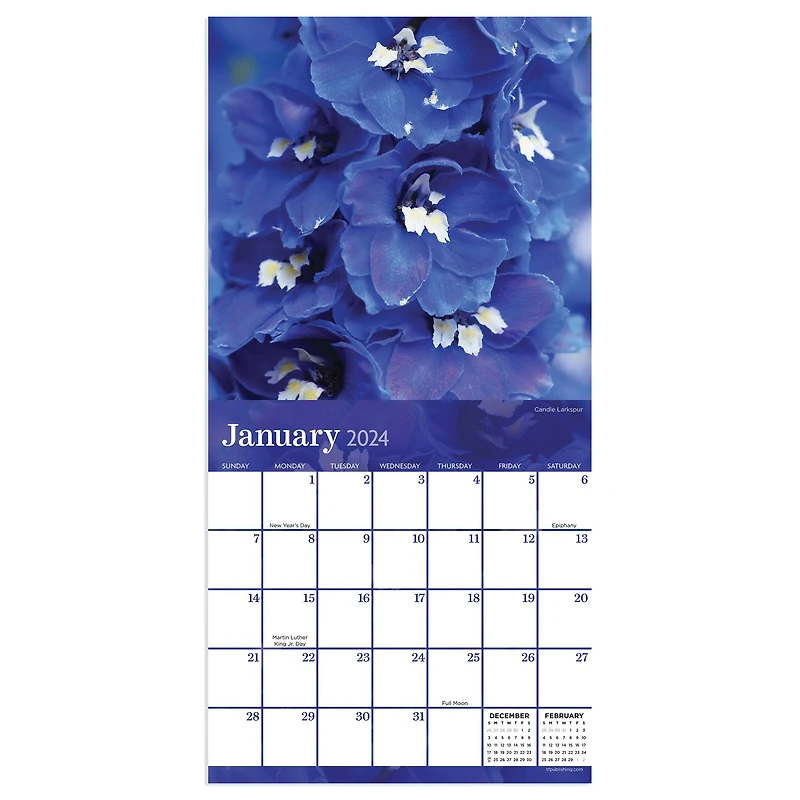 TF Publishing 2024 Flowers Mini Calendar
