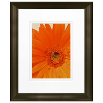 Timeless Frames® Daisy in Bloom Framed Print Wall Art