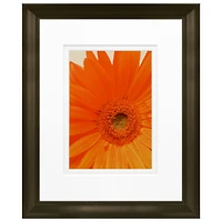 Timeless Frames® Daisy in Bloom Framed Print Wall Art