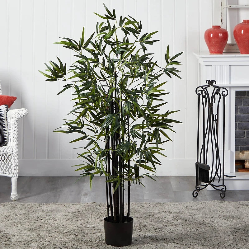 4ft. Potted Black Bamboo Tree