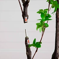 6ft. Artificial Minimalist Enkianthus Tree