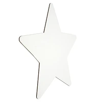 2 Pack 10" x 10" Star Shape Canvas by Creatology™
