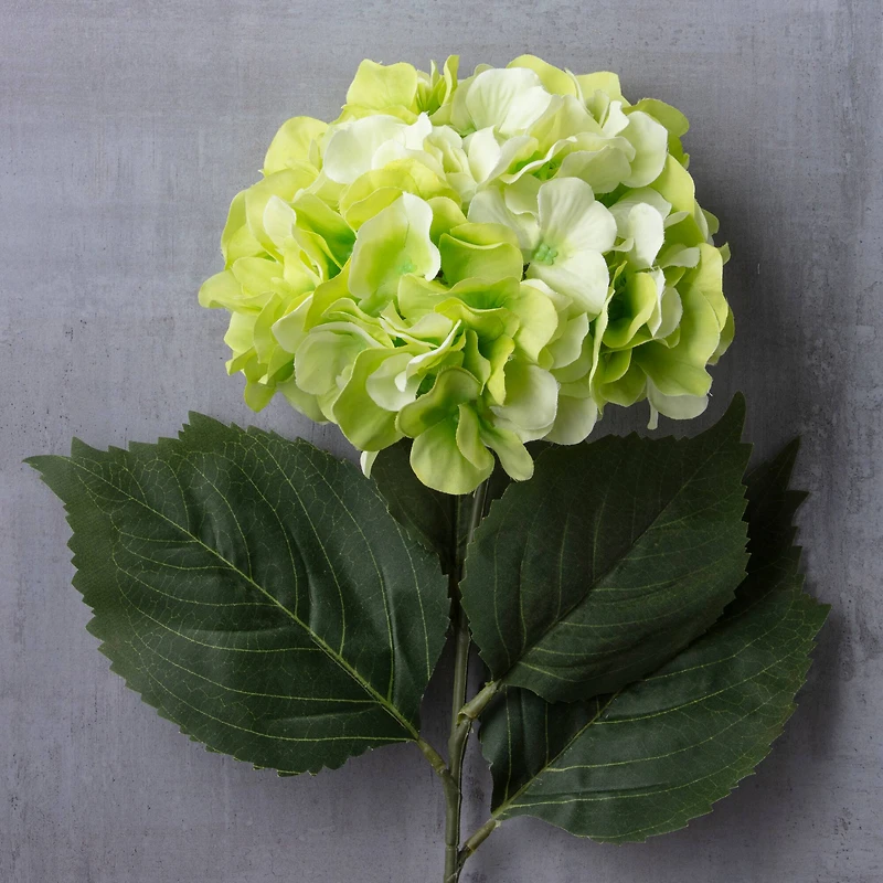 Garden Blooms Hydrangea Stem by Ashland