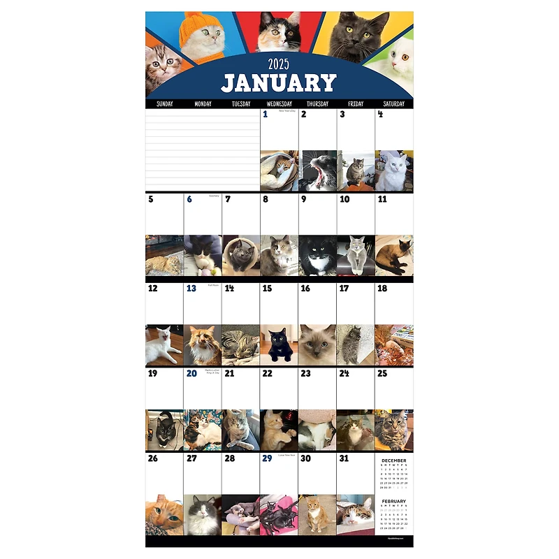 TF Publishing 2025 Cat-a-Day Wall Calendar