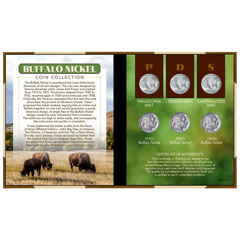 Buffalo Nickel Coin Set