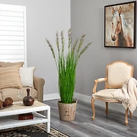 5.3ft. Wheat Grass Plant in Farmhouse Planter