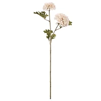26" Cream Ball Dahlia Stem by Ashland®