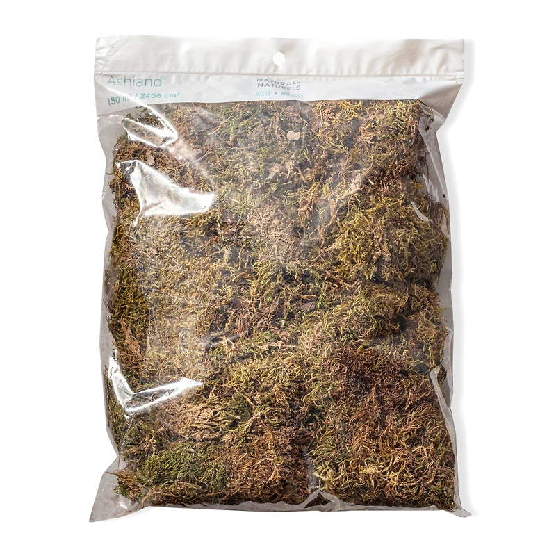 12 Pack: Decorative Moss by Ashland®
