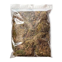 12 Pack: Decorative Moss by Ashland®