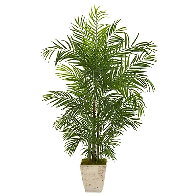 5.3ft. UV Resistant Areca Palm Tree in Country White Planter
