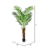 5ft. Potted Giant Areca Palm Tree