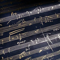 RoomMates Melody Peel & Stick Wallpaper