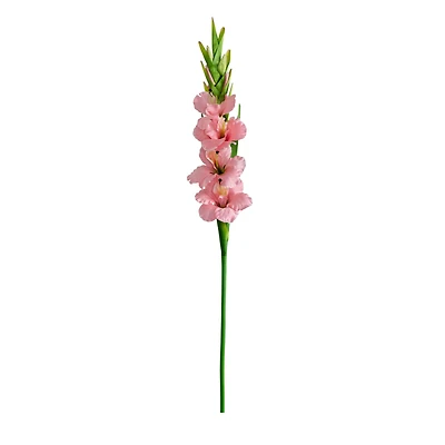 45" Pink Gladiolus Flower Stems, 3ct.