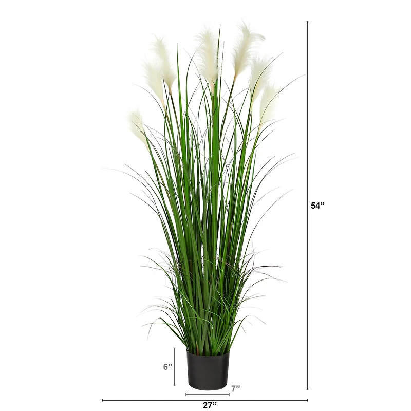 4.5ft. Potted Plume Grass