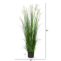 4.5ft. Potted Plume Grass