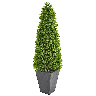 5ft. Eucalyptus Topiary Tree in Slate Planter