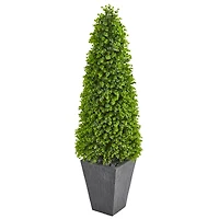 5ft. Eucalyptus Topiary Tree in Slate Planter