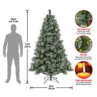 7.5ft. Pre-Lit Frosted Bryson Pine Artificial Christmas Tree, Warm White LED Lights