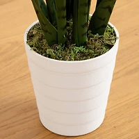 2ft. UV Resistant Artificial Snake Plant in White Decorative Planter