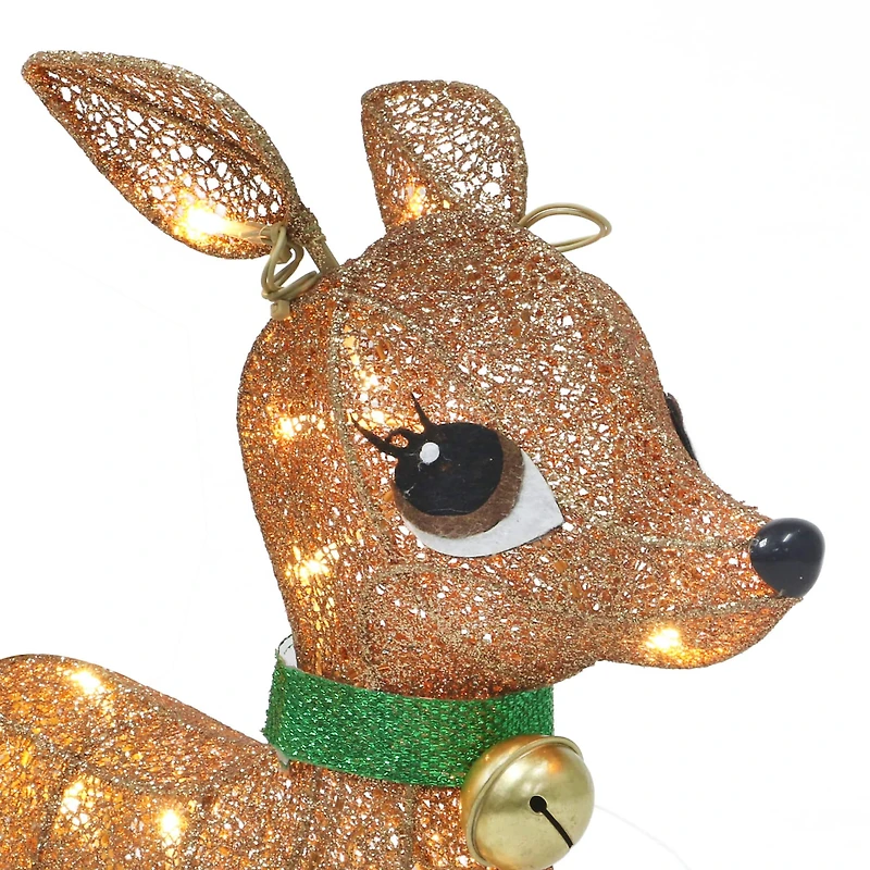 Lighted Outdoor Wire Frame Deer Set