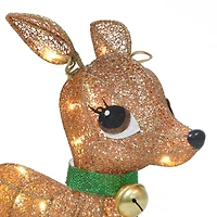Lighted Outdoor Wire Frame Deer Set