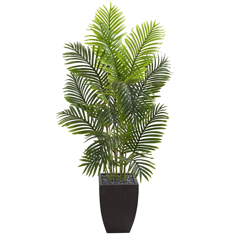 5.5ft. Paradise Palm Tree with Square Planter