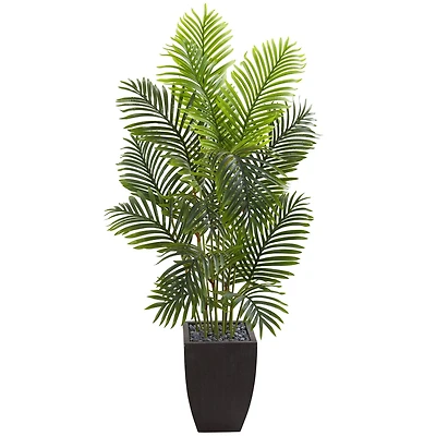 5.5ft. Paradise Palm Tree with Square Planter