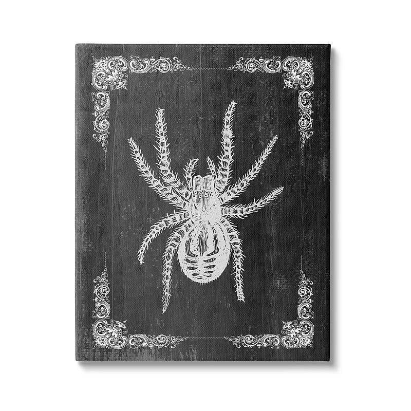 Stupell Industries Black & White Spider Canvas Wall Art